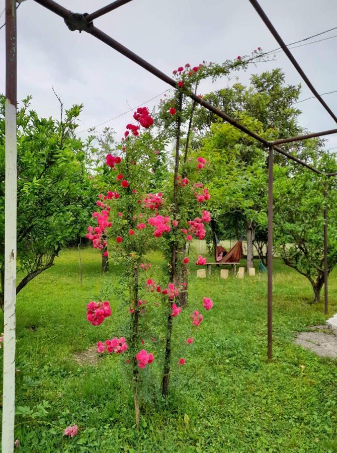 Nini'S Sweet House Hotel Matkhoji ภายนอก รูปภาพ